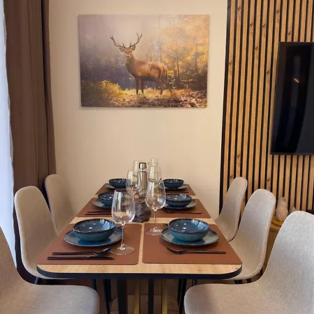 Klement - 150m Skoda Muzeum - 2 Bedroom Appartement Mladá Boleslav