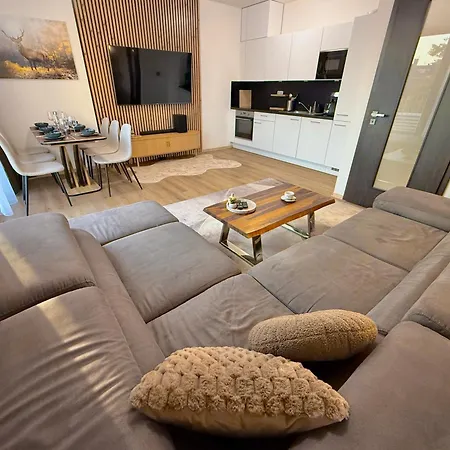 Appartement Klement - 150m Skoda Muzeum - 2 Bedroom *